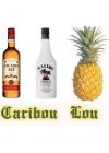 Caribou Lou