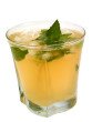 Mint Julep