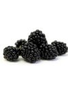 Blackberries