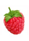 Framboise