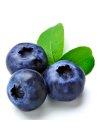 Blueberries