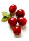 Cranberry