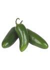 Jalapeno Pepper